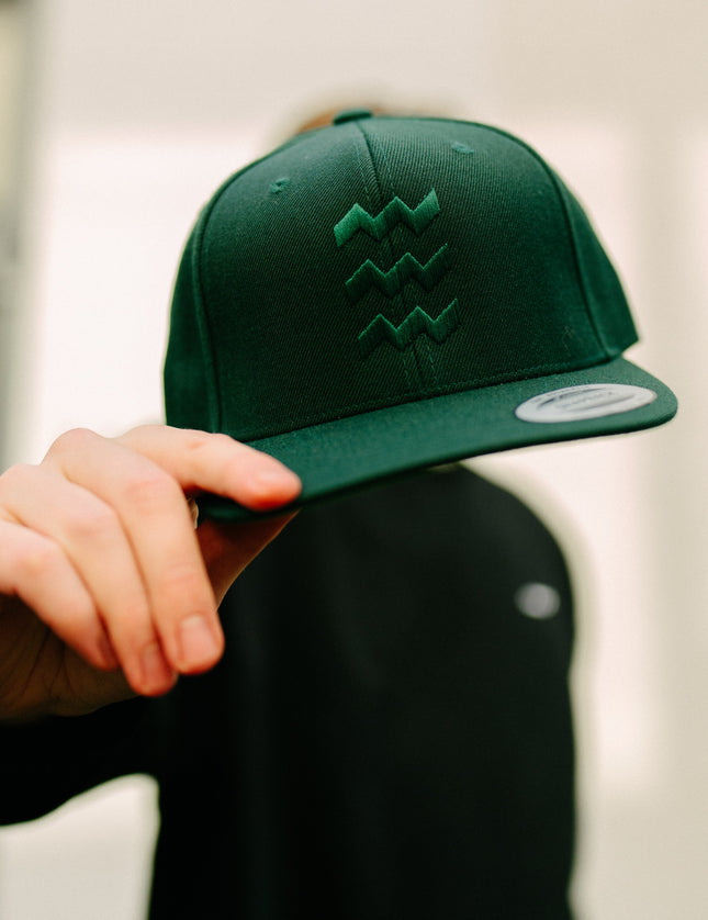 Vibes snapback cap in dark green
