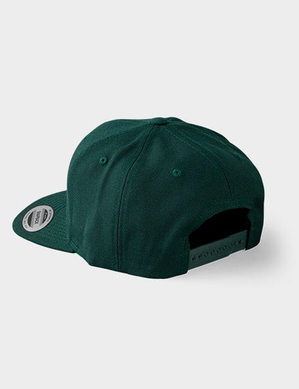 Vibes snapback cap in donkergroen