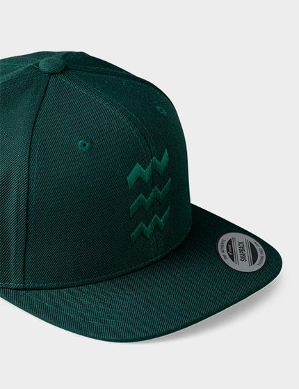 Vibes snapback cap in donkergroen