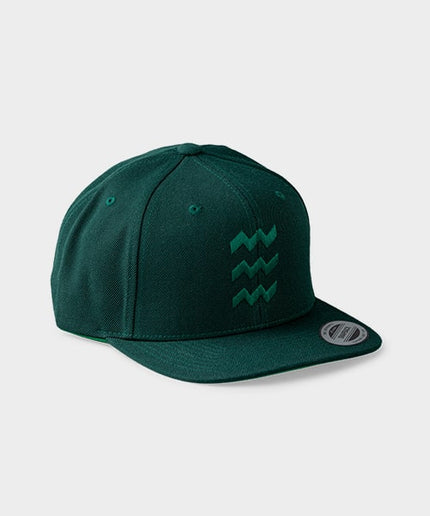 Vibes snapback cap in donkergroen