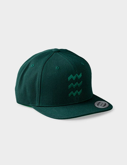 Vibes snapback cap in donkergroen