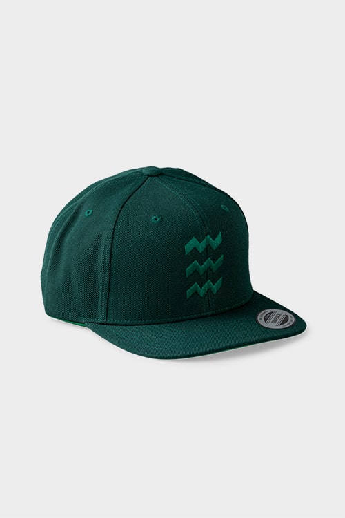 Vibes snapback cap in dark green